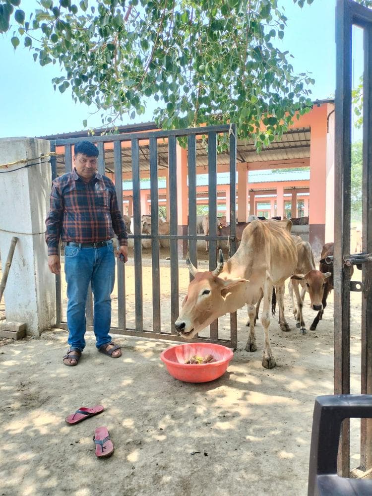 Gauseva