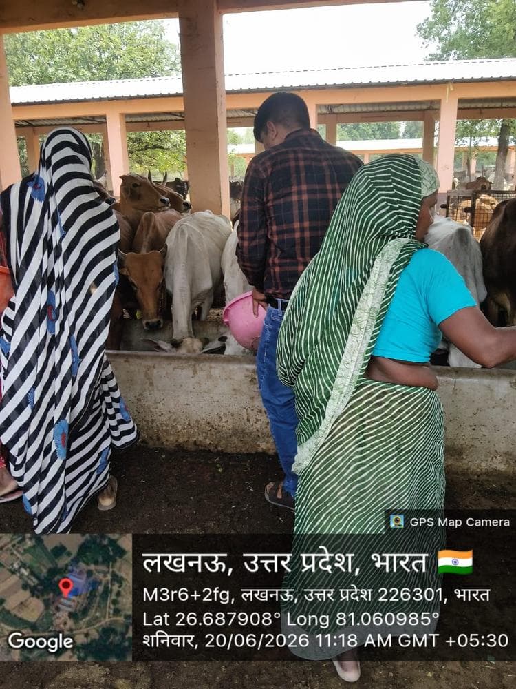 Gauseva