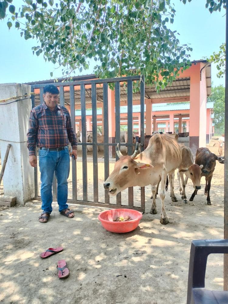 Gauseva