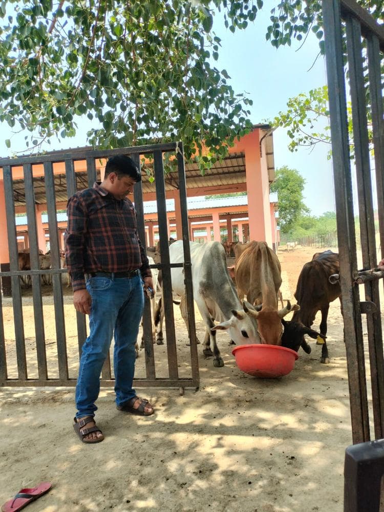 Gauseva