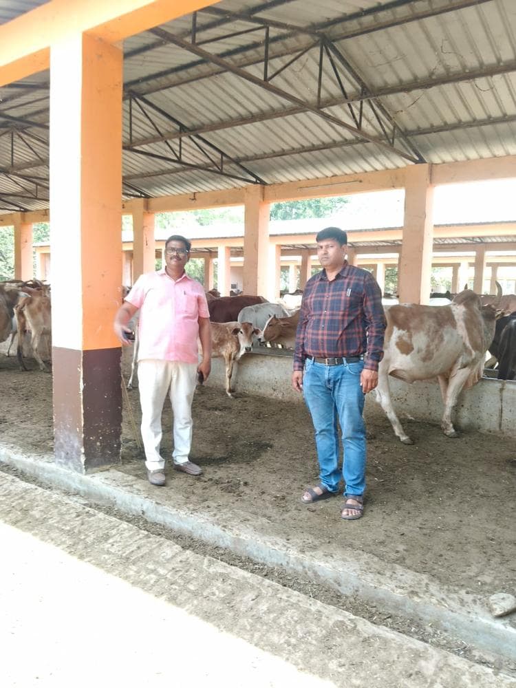 Gauseva