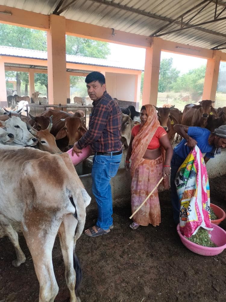 Gauseva