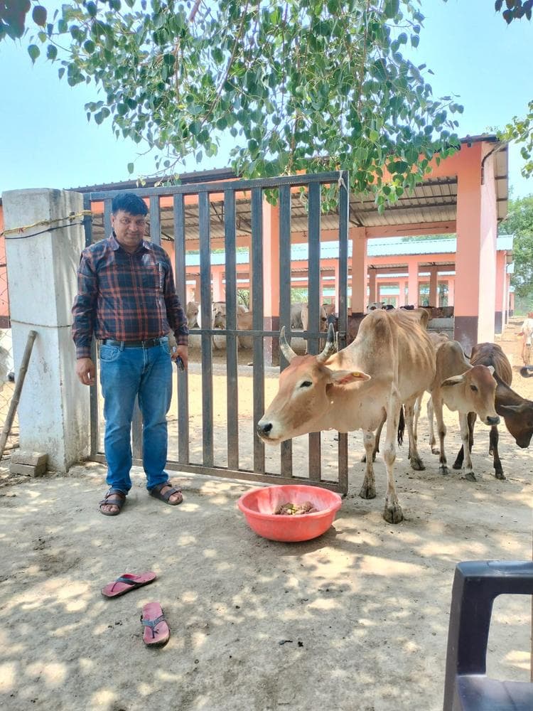 Gauseva
