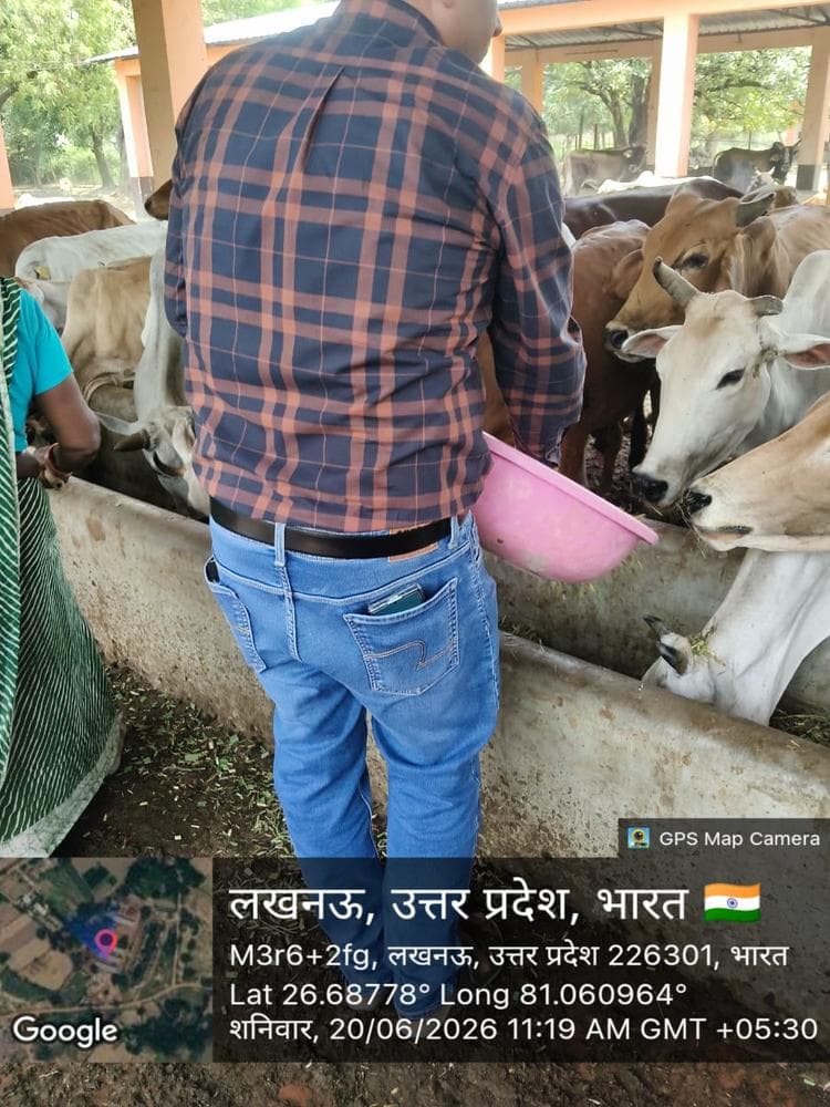Gauseva