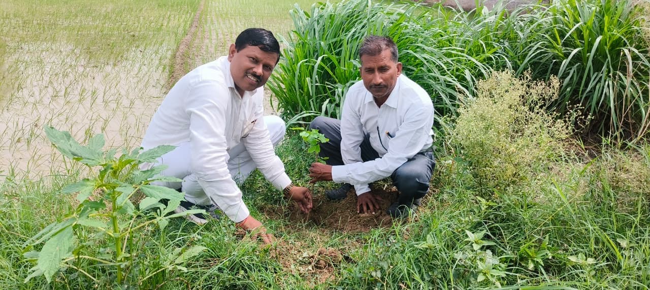 Prayagraj Plantation